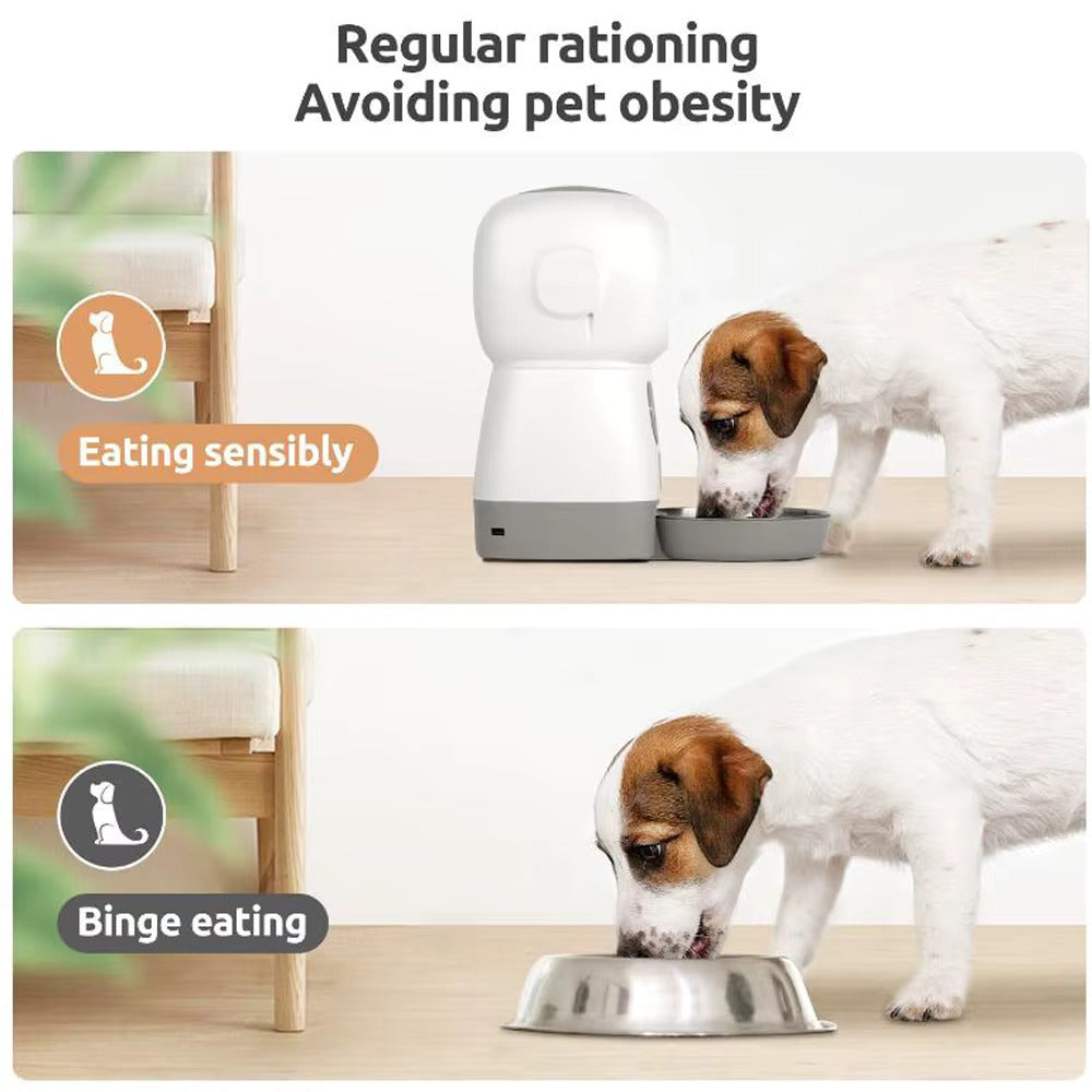 ShaggyMarket™ Automatic Feeder